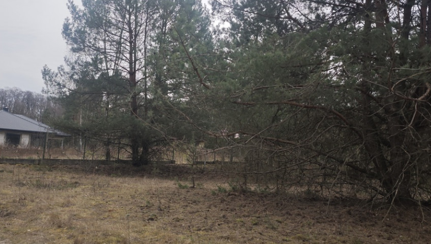Działka Sprzedaż Wólka Kryształowa